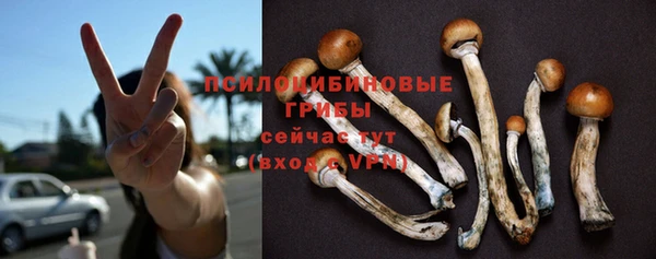мет Абинск