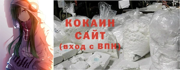 тгк Абаза